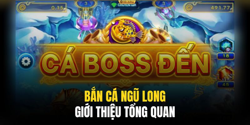 Bắn Cá Ngũ Long nhận được đánh giá cao từ người chơi